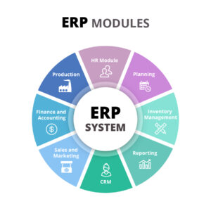 ERP Reporting Module