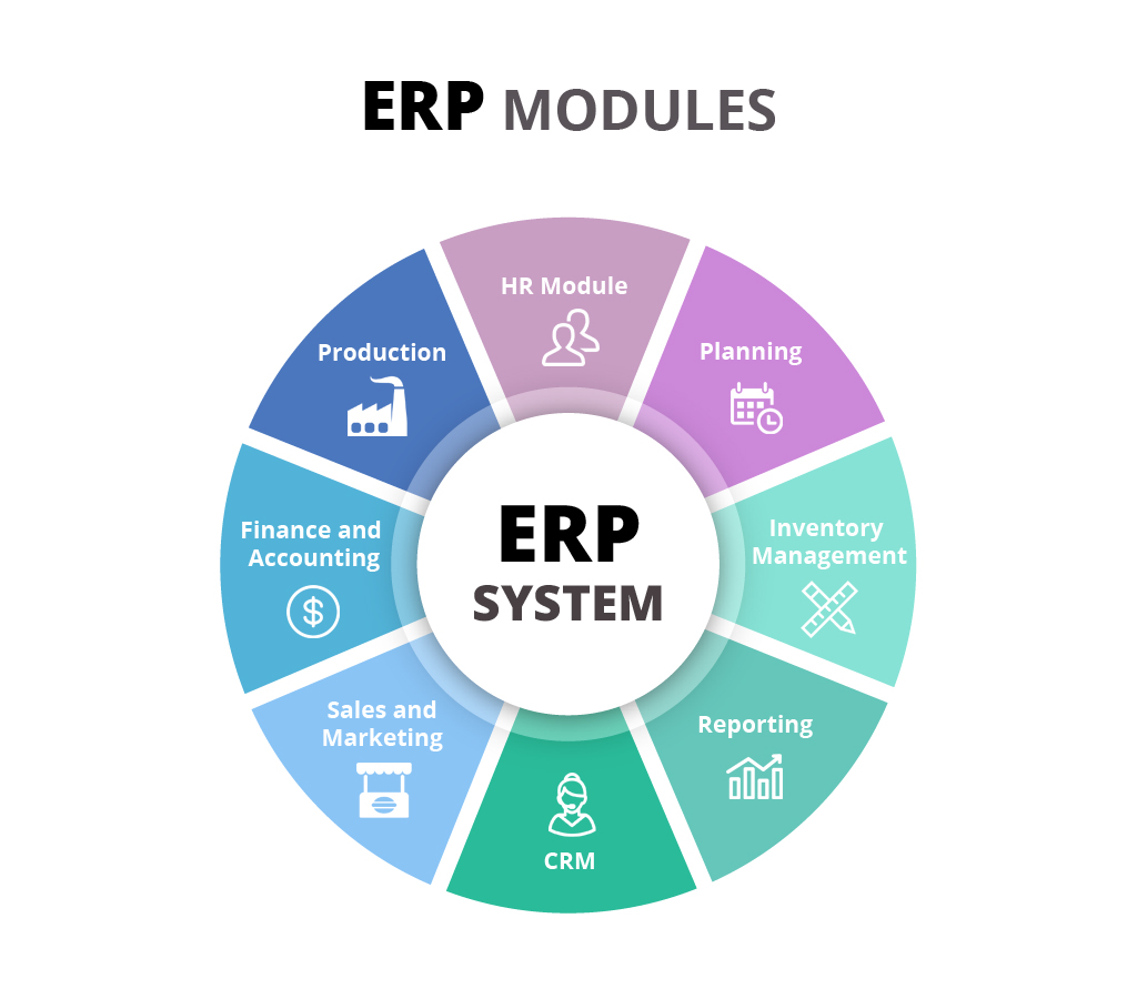 ERP Reporting Module