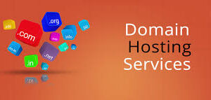 Hosting & Domain Management