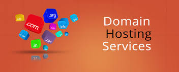 Hosting & Domain Management